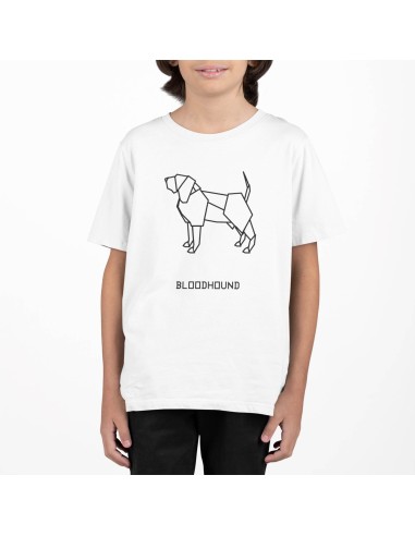 Kids Origami Bloodhound T-Shirt