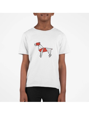 Kids Pop Origami Boxer T-Shirt