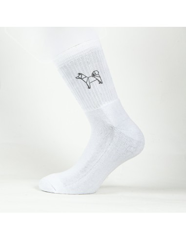 Terry Crew Socks Man Woman Unisex Origami Akita