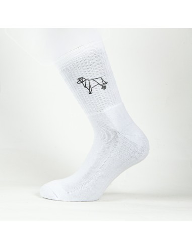 Terry Crew Socks Man Woman Unisex Origami Border Collie