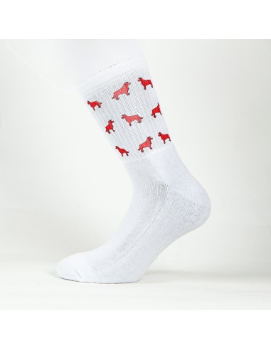 Terry Crew Socks Man Woman Unisex Minigami Border Collie