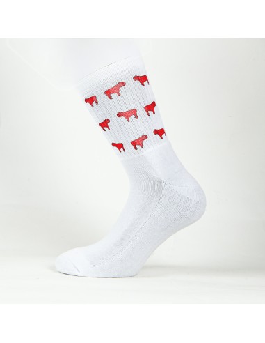 Terry Crew Socks Man Woman Unisex Minigami Bulldog