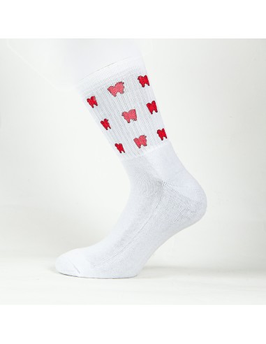 Terry Crew Socks Man Woman Unisex Minigami Chow Chow