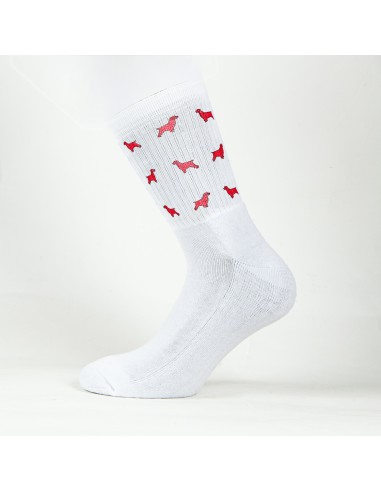 Terry Crew Socks Man Woman Unisex Minigami Cocker Spaniel