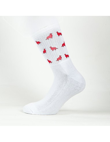 Terry Crew Socks Man Woman Unisex Minigami Collie