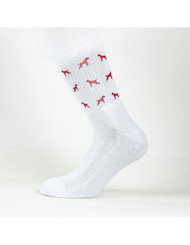 Terry Crew Socks Man Woman Unisex Minigami German Drahthaar