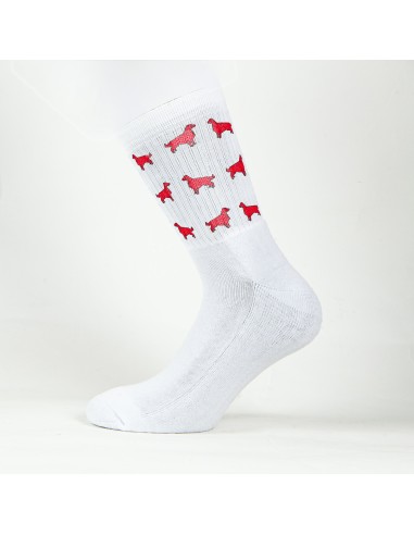 Terry Crew Socks Man Woman Unisex Minigami Golden Retriever