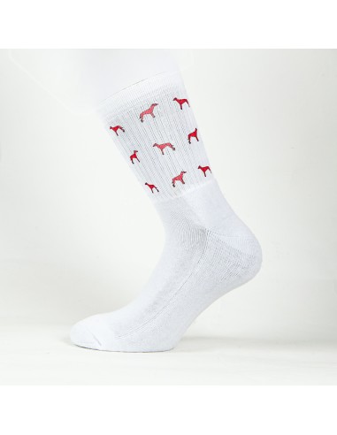 Terry Crew Socks Man Woman Unisex Minigami Greyhound