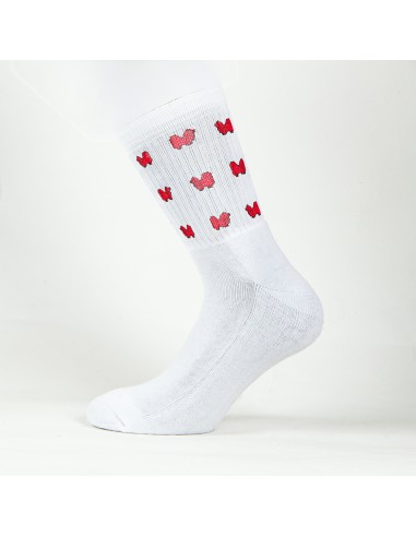 Terry Crew Socks Man Woman Unisex Minigami Japanese Chin