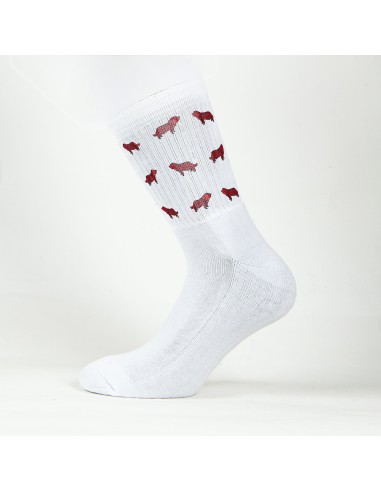 Terry Crew Socks Man Woman Unisex Minigami Komondor