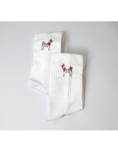 Terry Crew Socks Man Woman Unisex Pop Origami Akita