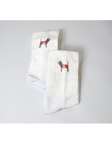 Terry Crew Socks Man Woman Unisex Pop Origami Beagle