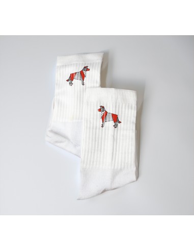 Terry Crew Socks Man Woman Unisex Pop Origami Border Collie