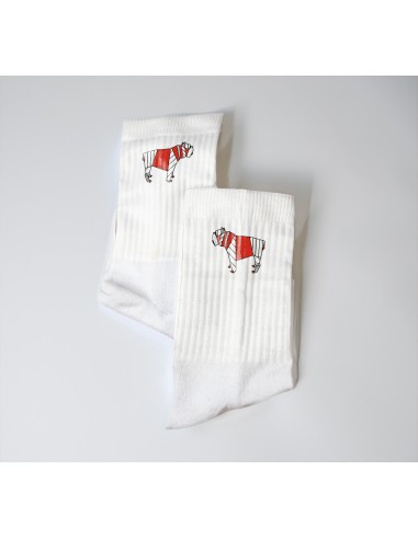 Terry Crew Socks Man Woman Unisex Pop Origami Bulldog