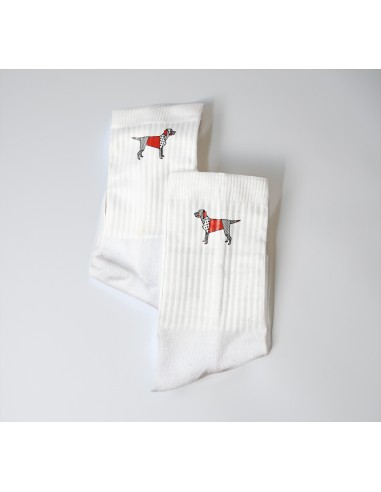 Terry Crew Socks Man Woman Unisex Pop Origami Labrador