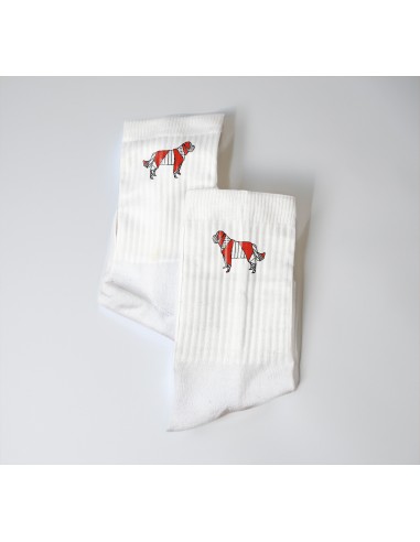 Terry Crew Socks Man Woman Unisex Pop Origami Saint Bernard