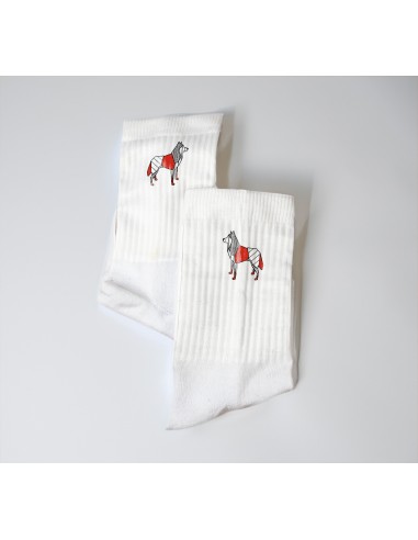 Terry Crew Socks Man Woman Unisex Pop Origami Siberian Husky