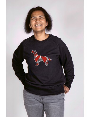 Pop Origami Irish Setter Women's Round Neck Sweatshirt