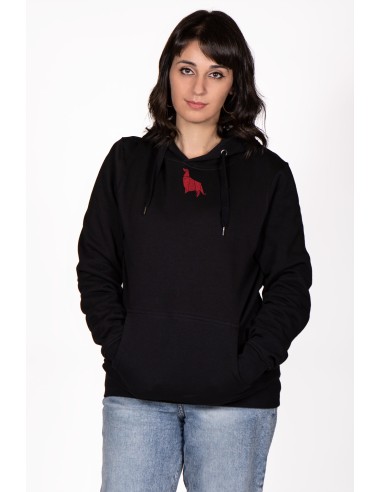 Minigami Collie Women's Hoodie